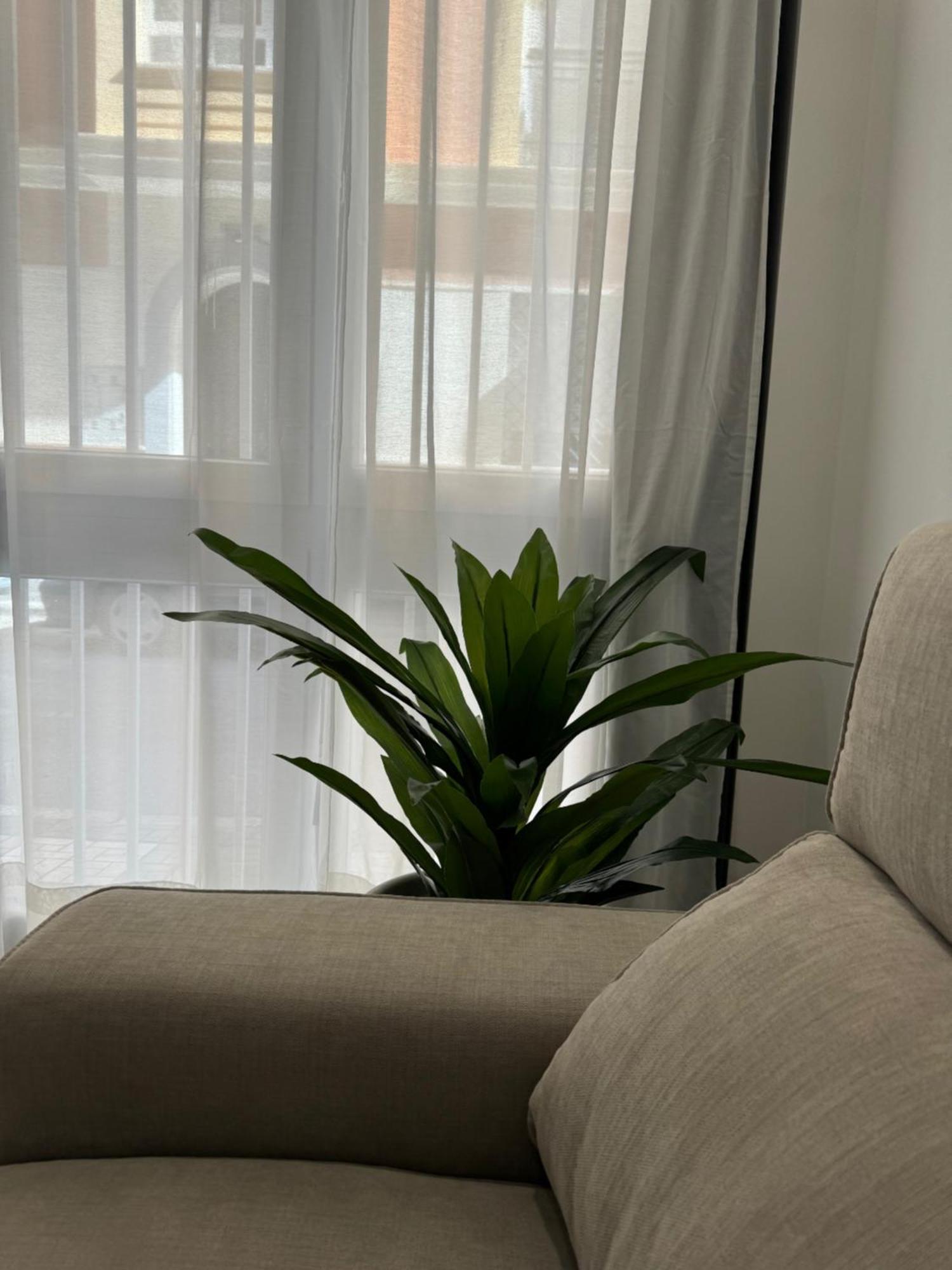 Alderete Suites 马拉加 外观 照片
